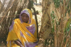 Shelter in Darfur