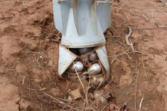 Khartoum is guilty of using cluster munitions against civilian populations