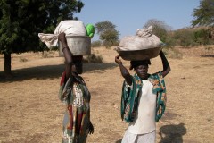 Women do an inordinate amount of the work in the Nuba (photograph by Eric Reeves, January 2003