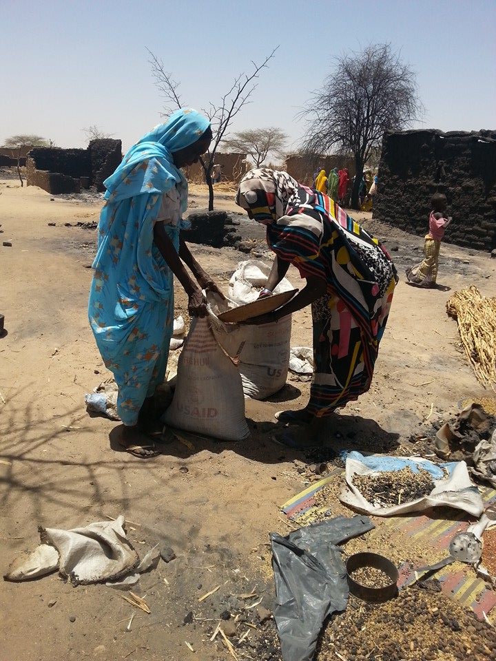 Three, persons collecting grain at burned village site(s), April-May 2014