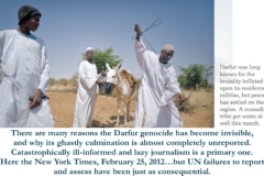 How did the Darfur genocide become invisible?